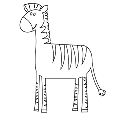 A zebra simples