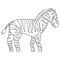 The-Circus-Zebra