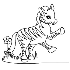 A-Funny-Little-Zebra-Coloring