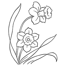Desenho de Narciso para colorir