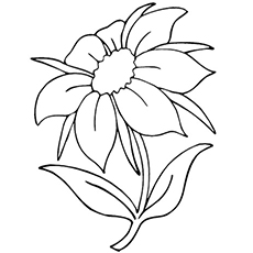 Desenhos para colorir Jasmine