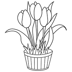 Desenhos para colorir Tulipa