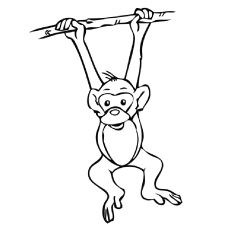 Macaco-Pendurar