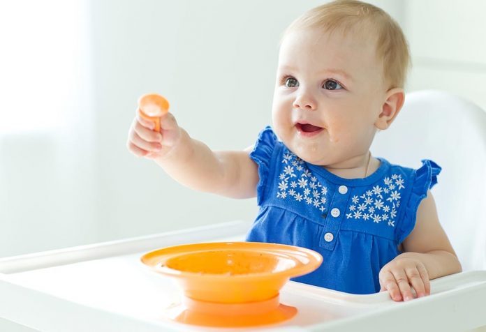 Idéias de comida para bebê de 8 meses