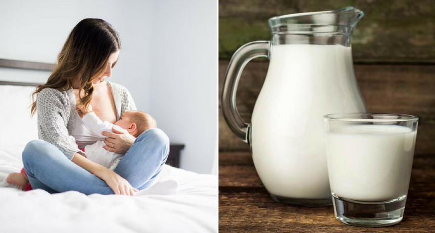 comparando a bondade do leite humano e do leite de vaca para bebês