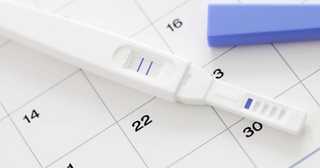 Calculadora de ovulaÃ§Ã£o: descubra os dias mais fÃ©rteis do seu ciclo menstrual