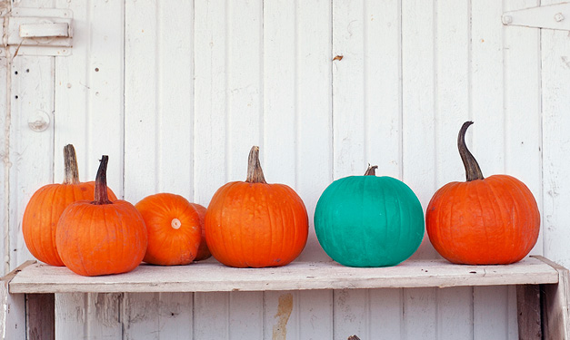 O projeto Teal Pumpkin aumenta a conscientizaÃ§Ã£o sobre alergia alimentar no Halloween